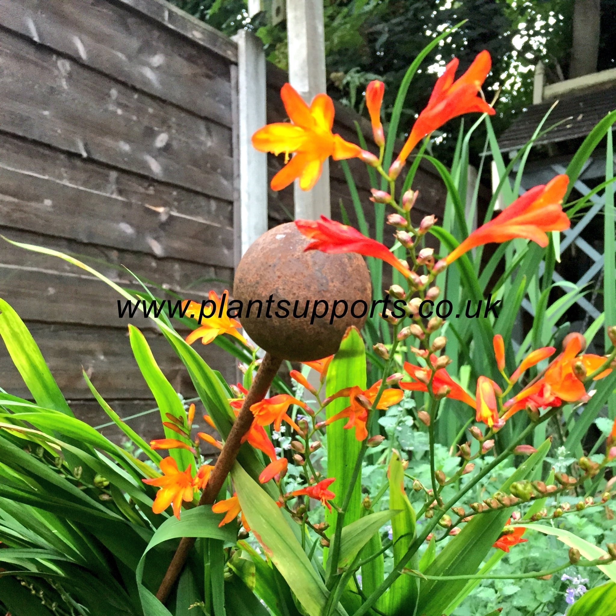 50mm Ball Topped stake pack of 3 1.3m high A0076 50mm Ball Topped stake pack of 3 1.3m high A0076